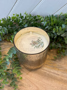 Illume Balsam & Cedar Radiant Glass Candle-Candles-Illume-The Silo Boutique, Women's Fashion Boutique Located in Warren and Grand Forks North Dakota