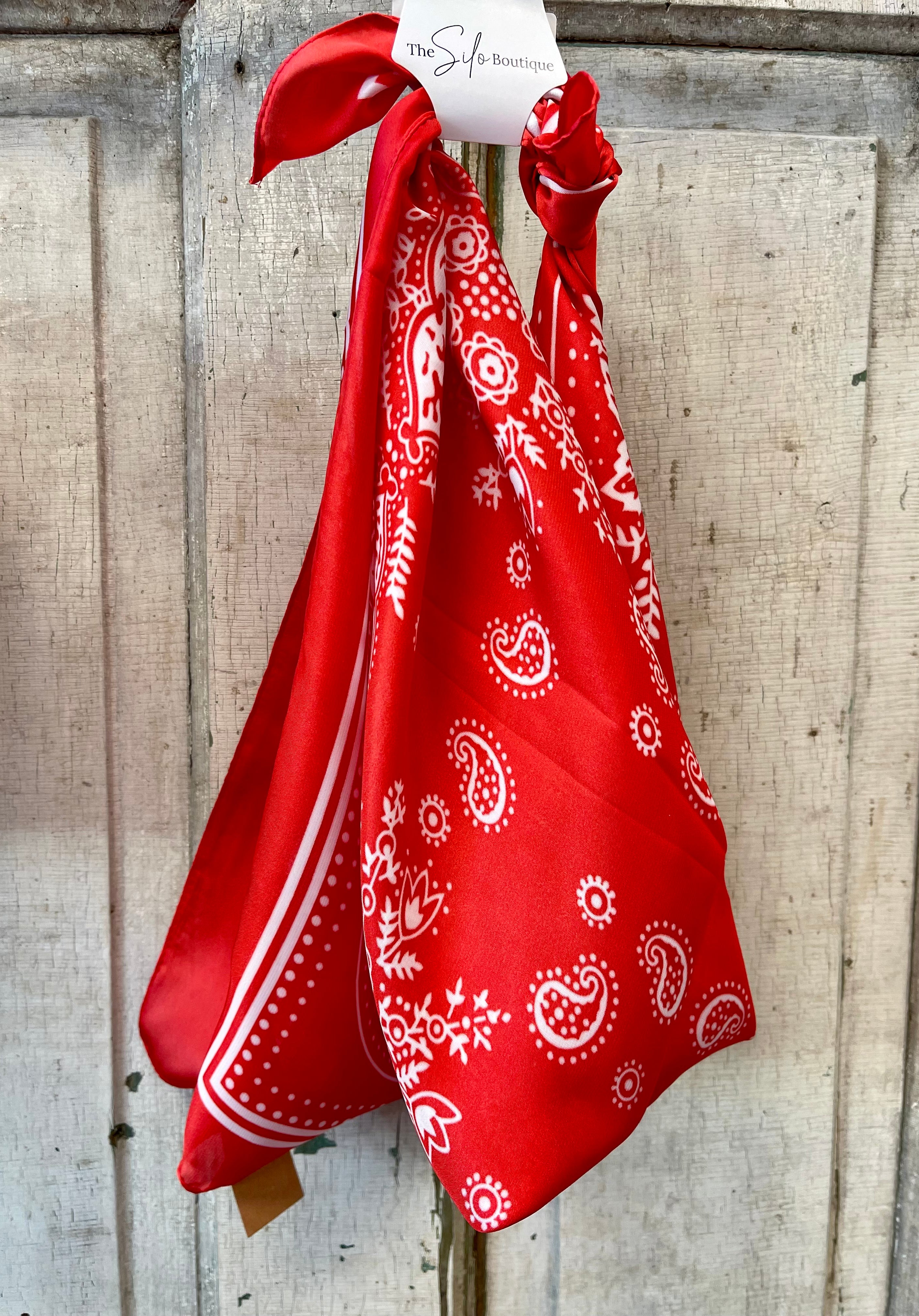 Paisley Bandana Satin Scarf-Scarves-leto-The Silo Boutique, Women's Fashion Boutique Located in Warren and Grand Forks North Dakota