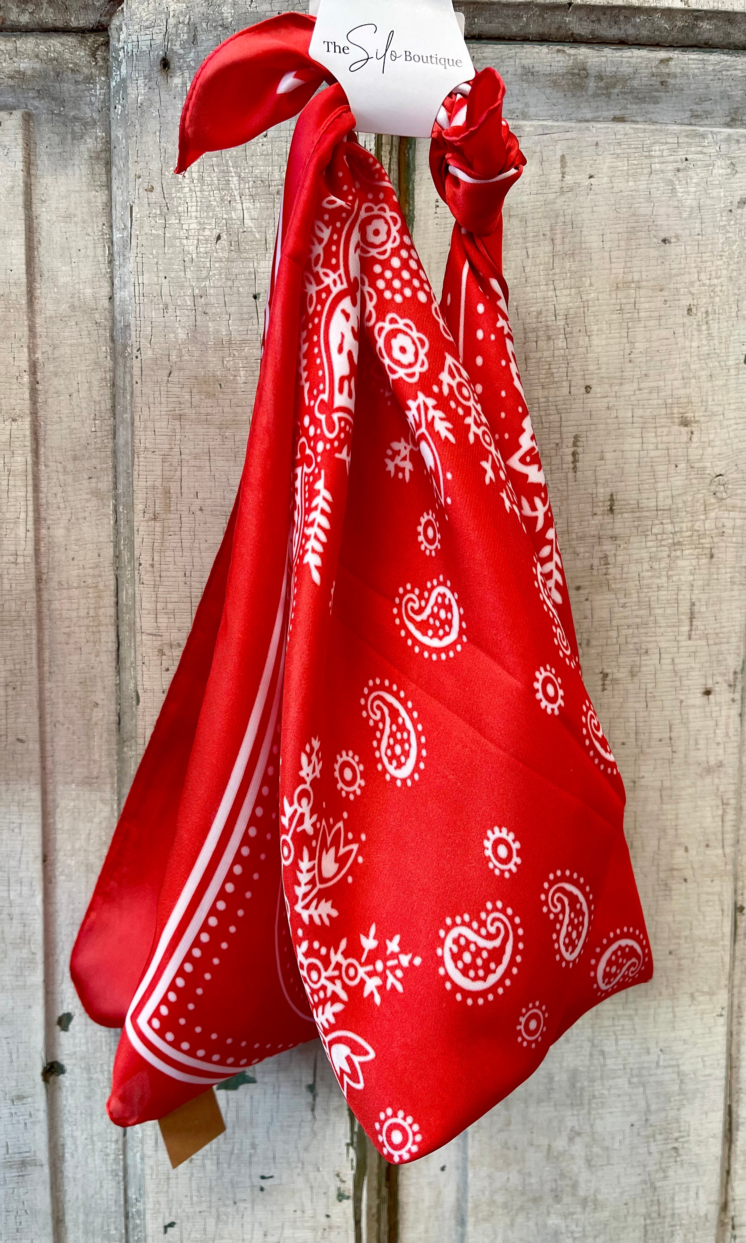 Paisley Bandana Satin Scarf-Scarves-leto-The Silo Boutique, Women's Fashion Boutique Located in Warren and Grand Forks North Dakota