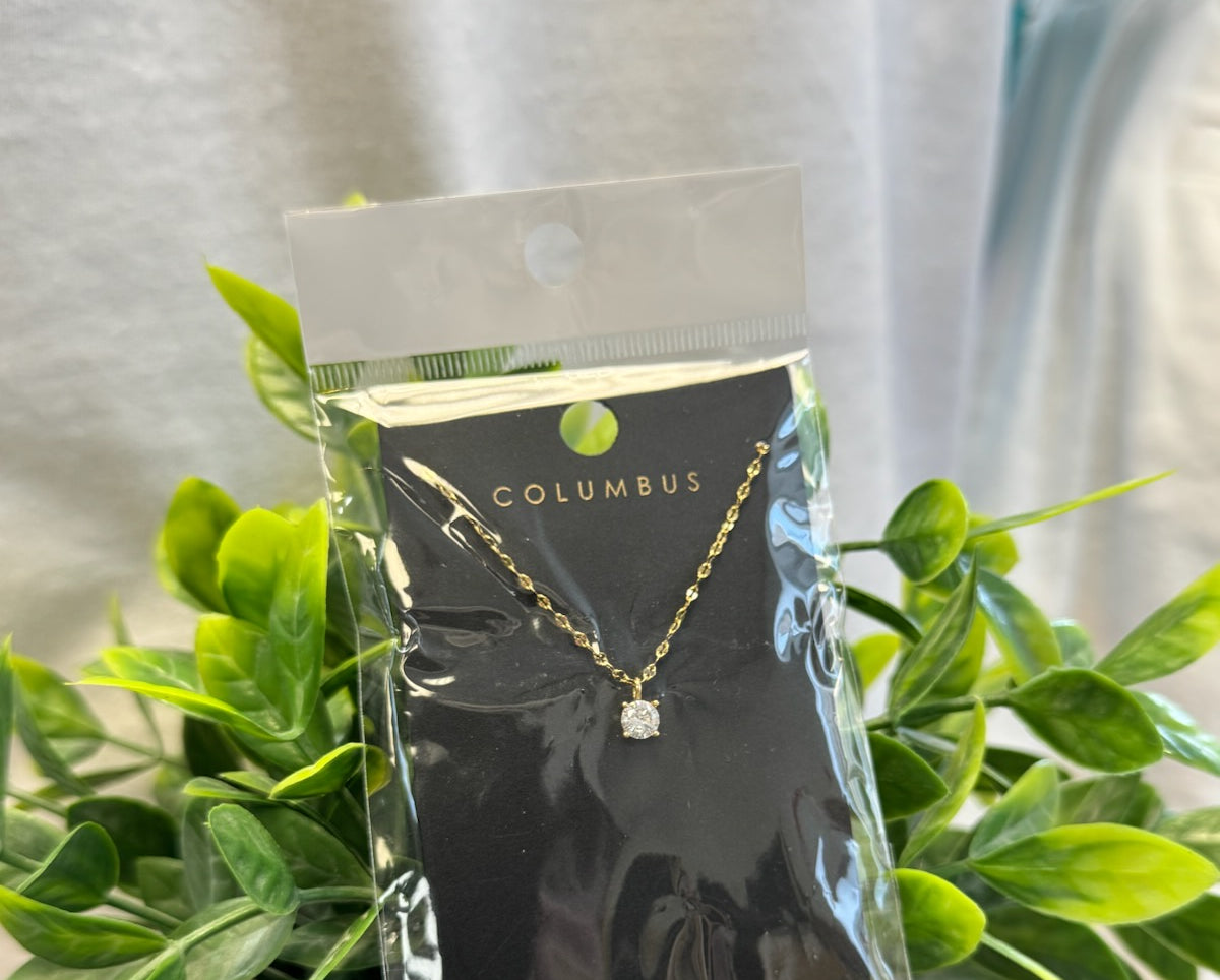 Dainty Round Gem Necklace-Necklaces-Fame-The Silo Boutique, Women's Fashion Boutique Located in Warren and Grand Forks North Dakota