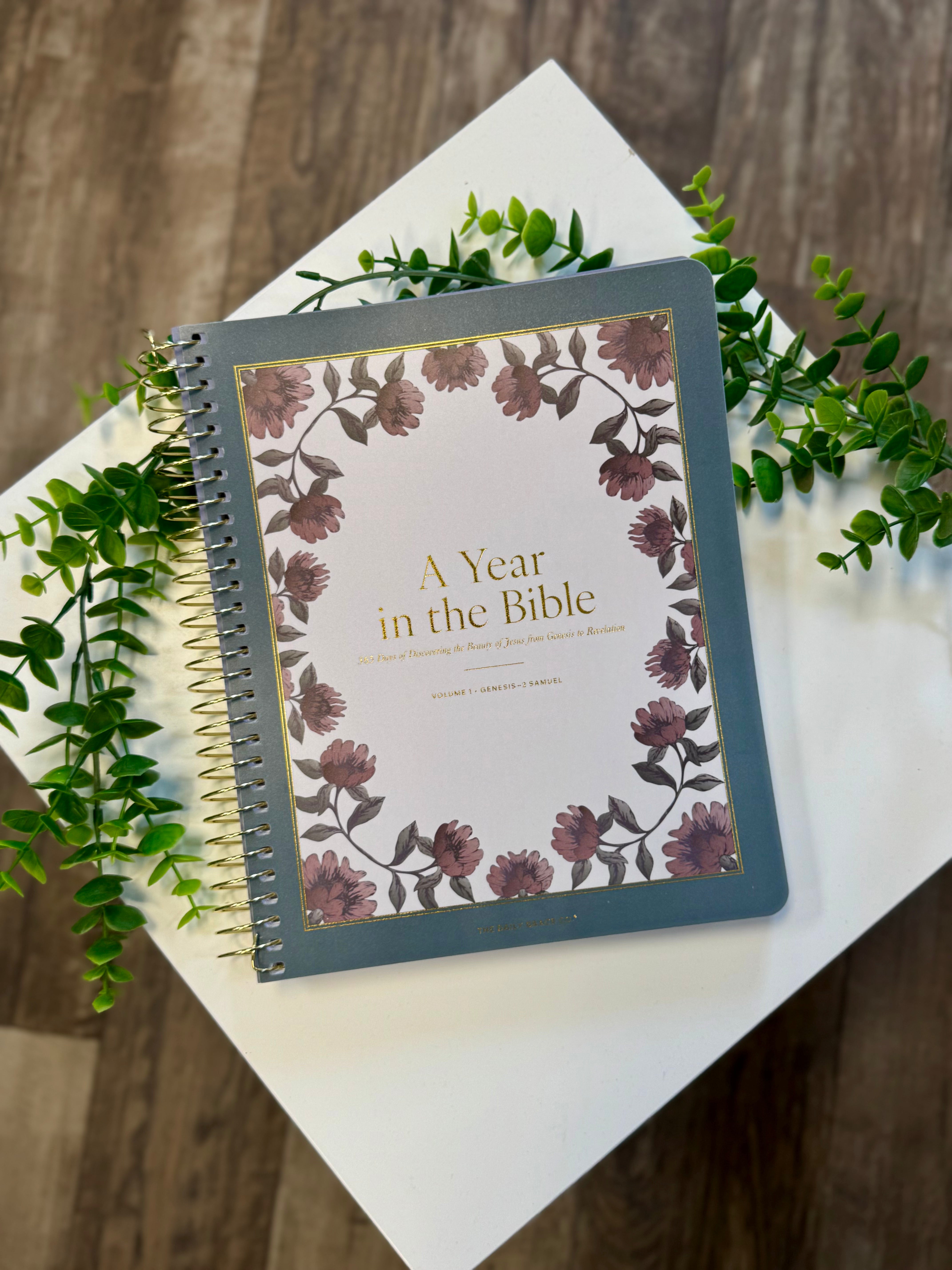 A Year in the Bible Volume 1-Books-Daily Grace-The Silo Boutique, Women's Fashion Boutique Located in Warren and Grand Forks North Dakota