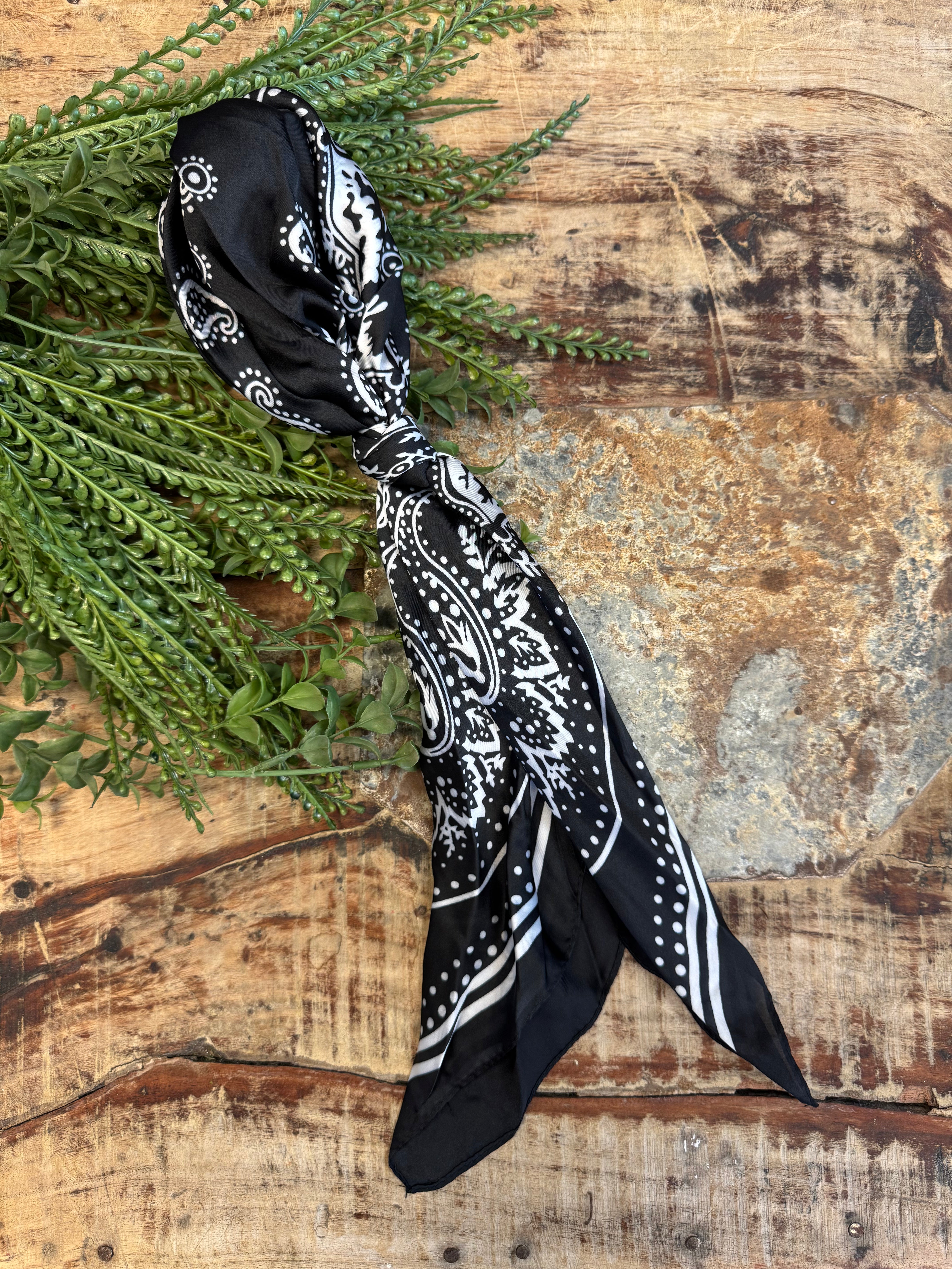 Olivia Moss Scarf-Black Paisley-Scarf-dm-The Silo Boutique, Women's Fashion Boutique Located in Warren and Grand Forks North Dakota